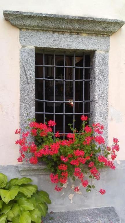 Vila Casa Zizi Crodo Exteriér fotografie