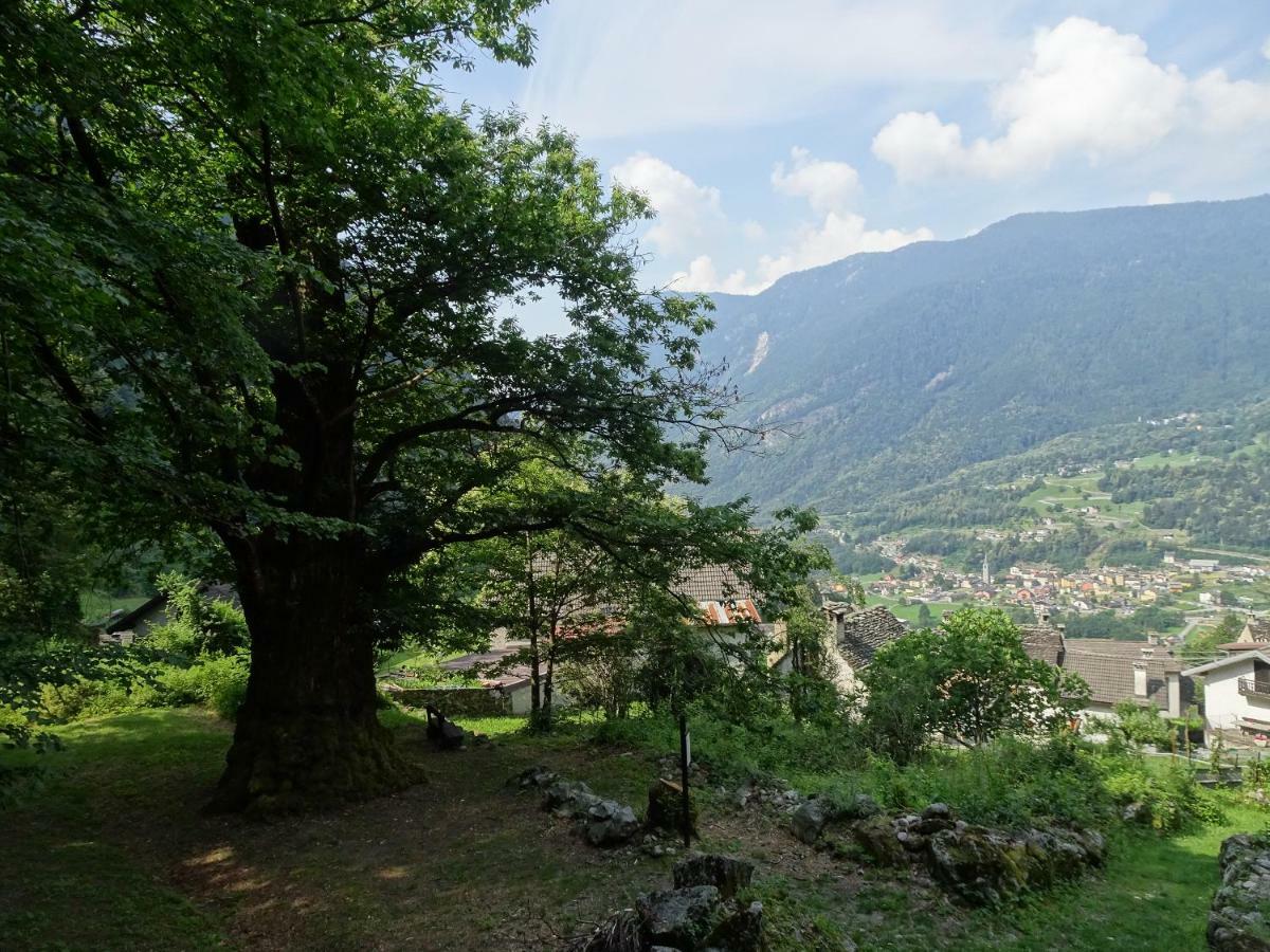 Vila Casa Zizi Crodo Exteriér fotografie