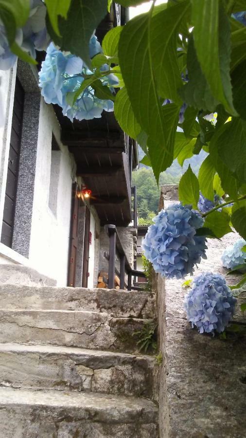 Vila Casa Zizi Crodo Exteriér fotografie